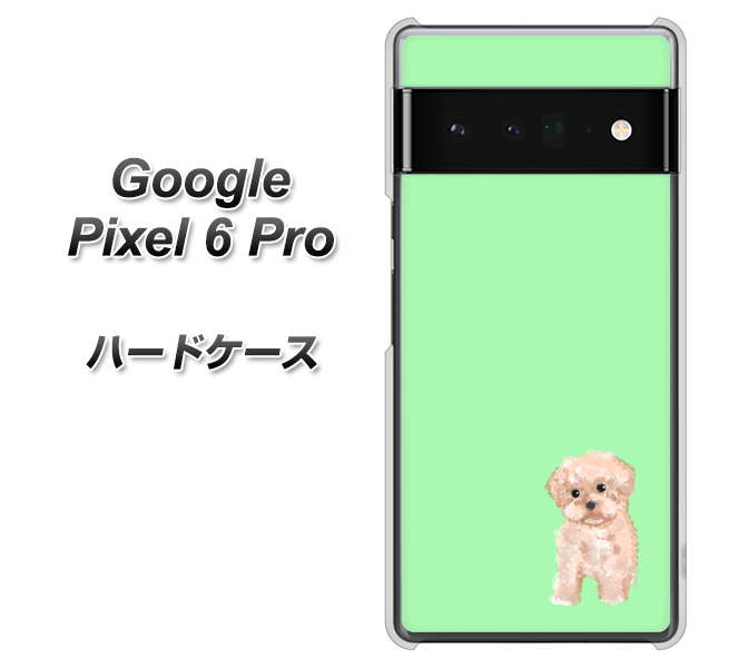 Google Pixel 6 Pro 高画質仕上げ 背面印刷 ハードケース【YJ063 トイプードルアプリコット(グリーン)】