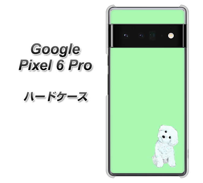 Google Pixel 6 Pro 高画質仕上げ 背面印刷 ハードケース【YJ071 トイプードルホワイト(グリーン)】