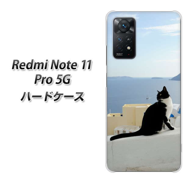 Redmi Note 11 Pro 5G 高画質仕上げ 背面印刷 ハードケース【VA805 ネコと地中海】