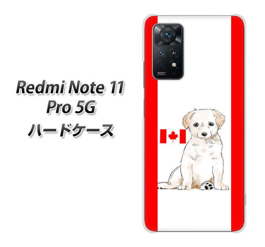 Redmi Note 11 Pro 5G 高画質仕上げ 背面印刷 ハードケース【YD824 ラブラドールレトリバー05】