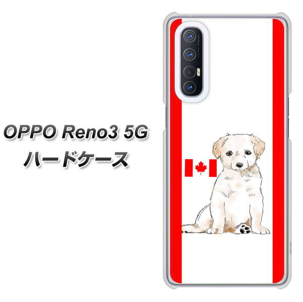 SoftBank OPPO Reno3 5G 高画質仕上げ 背面印刷 ハードケース【YD824 ラブラドールレトリバー05】