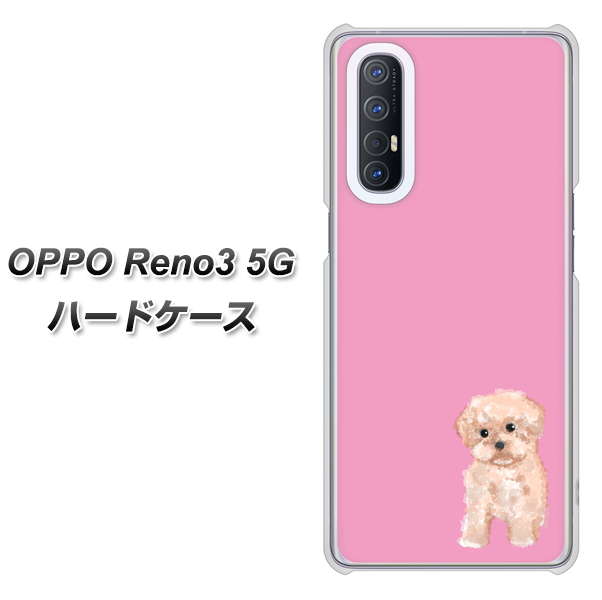 SoftBank OPPO Reno3 5G 高画質仕上げ 背面印刷 ハードケース【YJ061 トイプードルアプリコット(ピンク)】