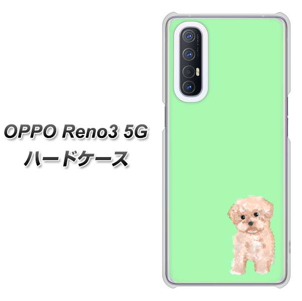 SoftBank OPPO Reno3 5G 高画質仕上げ 背面印刷 ハードケース【YJ063 トイプードルアプリコット(グリーン)】