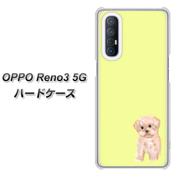 SoftBank OPPO Reno3 5G 高画質仕上げ 背面印刷 ハードケース【YJ064 トイプードルアプリコット(イエロー)】