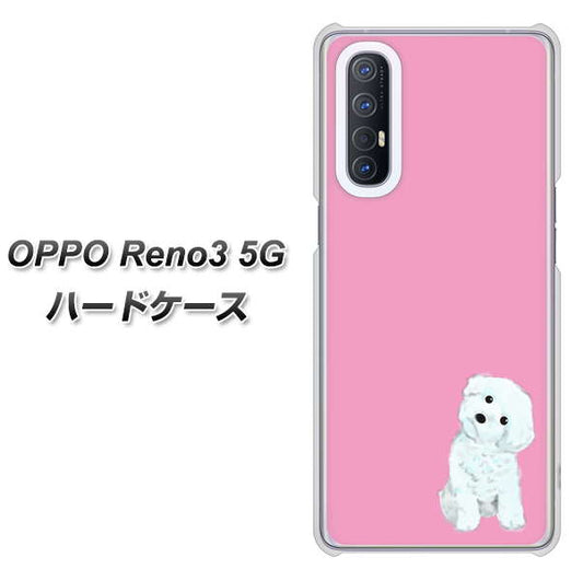 SoftBank OPPO Reno3 5G 高画質仕上げ 背面印刷 ハードケース【YJ069 トイプードルホワイト(ピンク)】