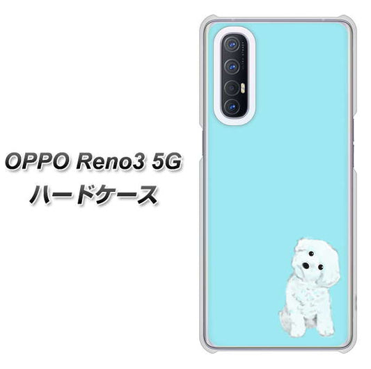 SoftBank OPPO Reno3 5G 高画質仕上げ 背面印刷 ハードケース【YJ070 トイプードルホワイト（ブルー）】