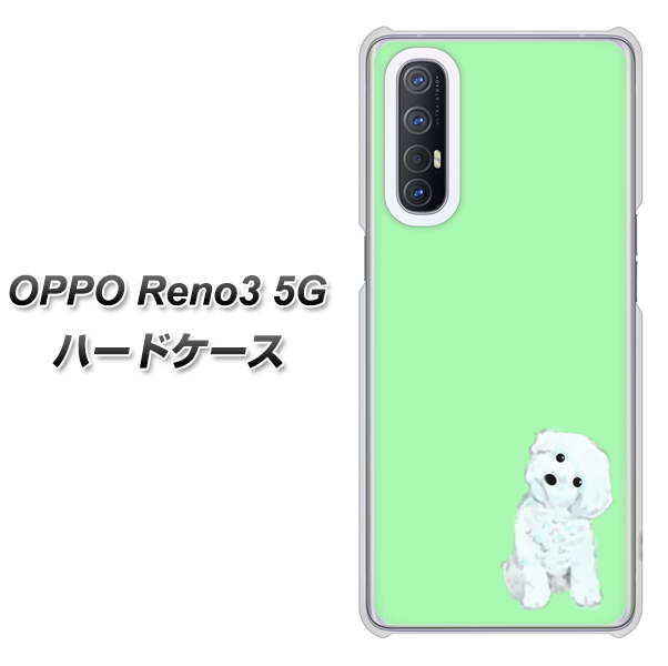 SoftBank OPPO Reno3 5G 高画質仕上げ 背面印刷 ハードケース【YJ071 トイプードルホワイト(グリーン)】