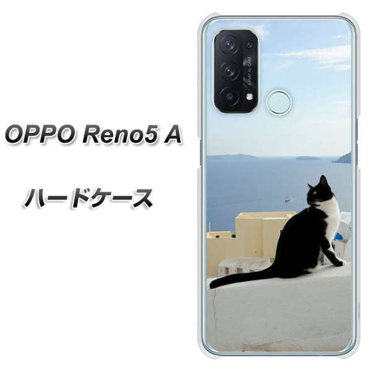 SIMフリー オッポ Reno5 A 高画質仕上げ 背面印刷 ハードケース【VA805 ネコと地中海】