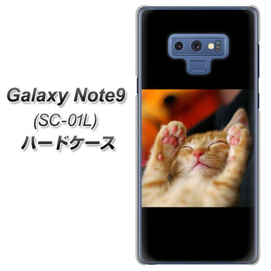 docomo ギャラクシー ノート9 SC-01L 高画質仕上げ 背面印刷 ハードケース【VA804 爆睡するネコ】