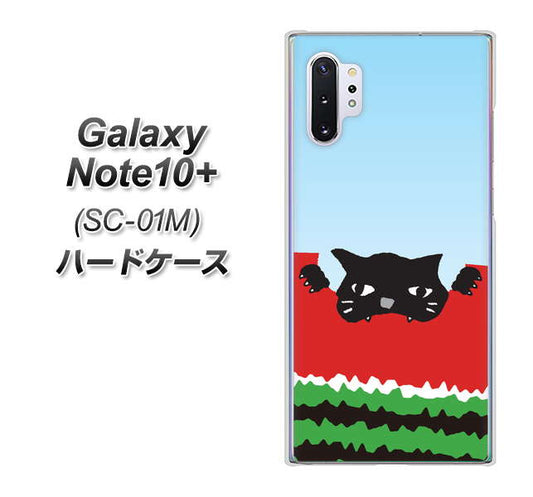 docomo ギャラクシー ノート10+ SC-01M 高画質仕上げ 背面印刷 ハードケース【IA815 すいかをかじるネコ(大)】