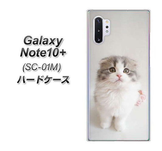 docomo ギャラクシー ノート10+ SC-01M 高画質仕上げ 背面印刷 ハードケース【VA803 まっていますネコ】