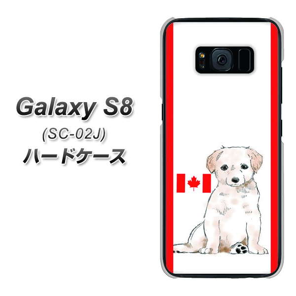 docomo ギャラクシー S8 SC-02J 高画質仕上げ 背面印刷 ハードケース【YD824 ラブラドールレトリバー05】