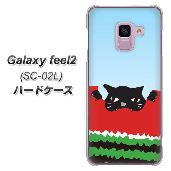 docomo ギャラクシー フィール2 SC-02L 高画質仕上げ 背面印刷 ハードケース【IA815 すいかをかじるネコ(大)】