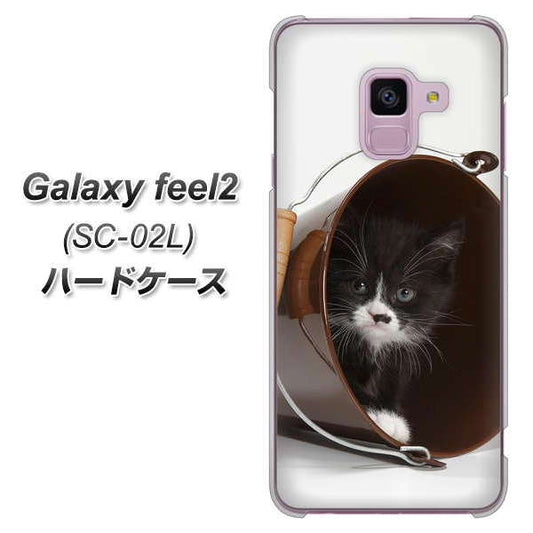 docomo ギャラクシー フィール2 SC-02L 高画質仕上げ 背面印刷 ハードケース【VA800 ネコとバケツ】
