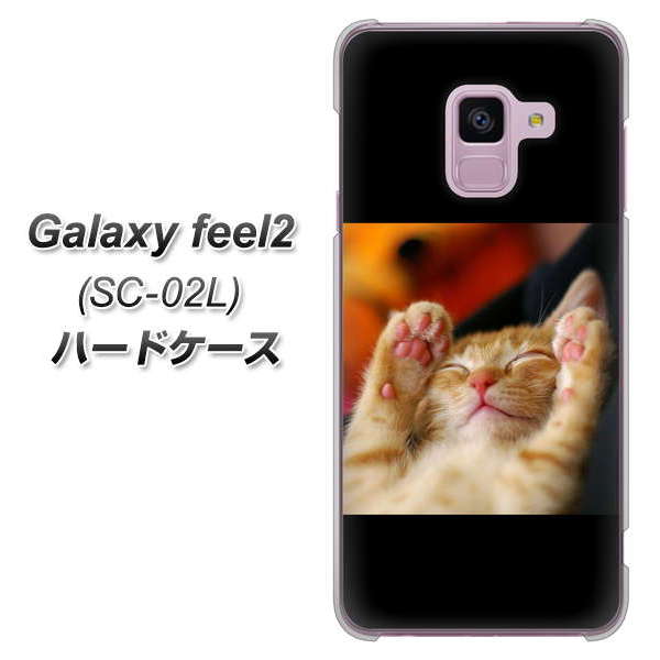 docomo ギャラクシー フィール2 SC-02L 高画質仕上げ 背面印刷 ハードケース【VA804 爆睡するネコ】