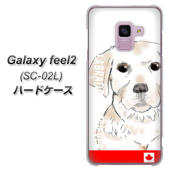 docomo ギャラクシー フィール2 SC-02L 高画質仕上げ 背面印刷 ハードケース【YD821 ラブラドールレトリバー02】