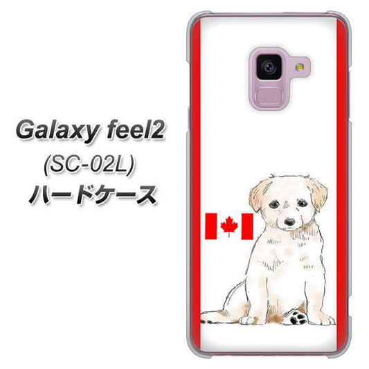 docomo ギャラクシー フィール2 SC-02L 高画質仕上げ 背面印刷 ハードケース【YD824 ラブラドールレトリバー05】