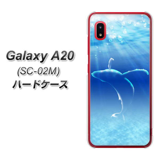 docomo ギャラクシー A20 SC-02M 高画質仕上げ 背面印刷 ハードケース【1047 海の守り神くじら】