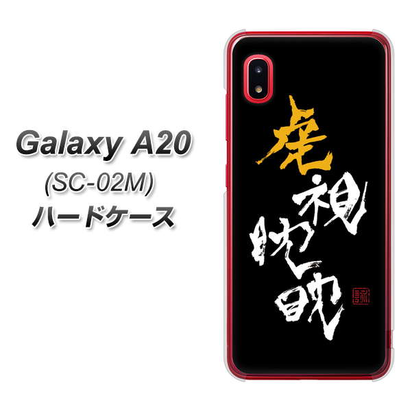 docomo ギャラクシー A20 SC-02M 高画質仕上げ 背面印刷 ハードケース【OE803 虎視眈々】