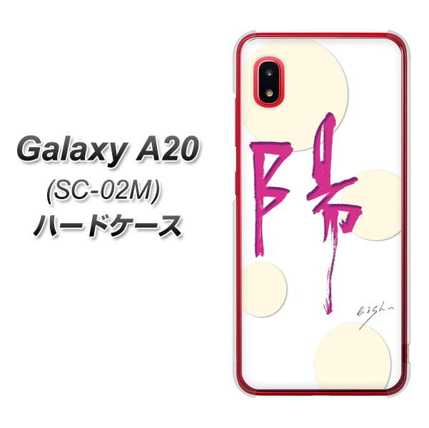 docomo ギャラクシー A20 SC-02M 高画質仕上げ 背面印刷 ハードケース【OE833 陽】