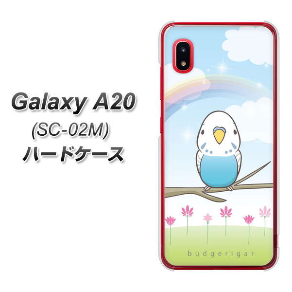docomo ギャラクシー A20 SC-02M 高画質仕上げ 背面印刷 ハードケース【SC839 セキセイインコ ブルー】