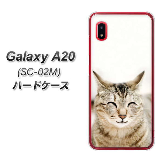 docomo ギャラクシー A20 SC-02M 高画質仕上げ 背面印刷 ハードケース【VA801 笑福ねこ】