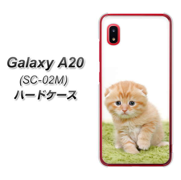 docomo ギャラクシー A20 SC-02M 高画質仕上げ 背面印刷 ハードケース【VA802 ネコこっそり】