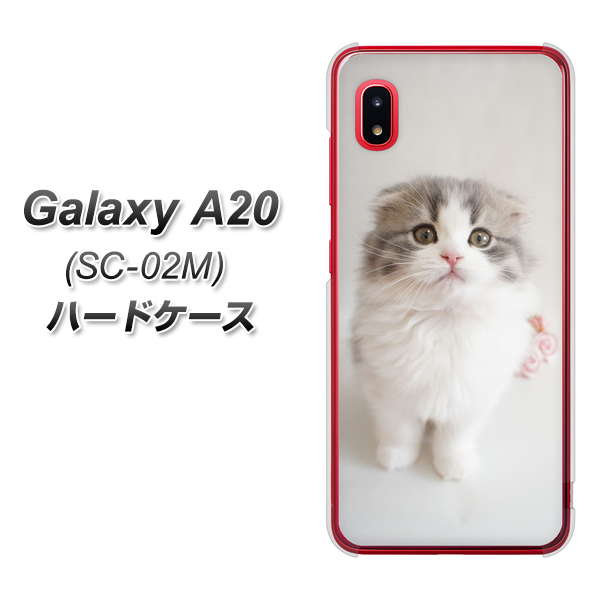 docomo ギャラクシー A20 SC-02M 高画質仕上げ 背面印刷 ハードケース【VA803 まっていますネコ】