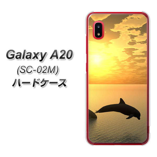 docomo ギャラクシー A20 SC-02M 高画質仕上げ 背面印刷 ハードケース【VA845 夕暮れのドルフィン】