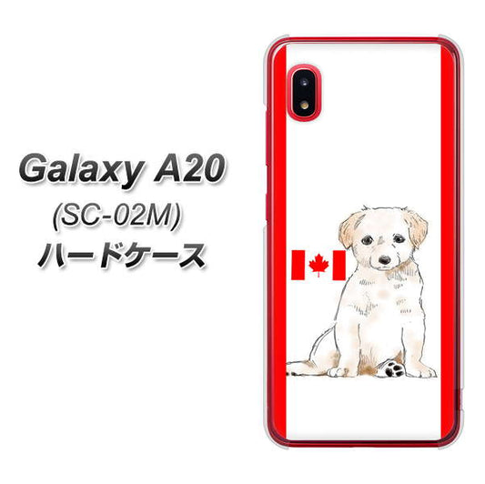 docomo ギャラクシー A20 SC-02M 高画質仕上げ 背面印刷 ハードケース【YD824 ラブラドールレトリバー05】