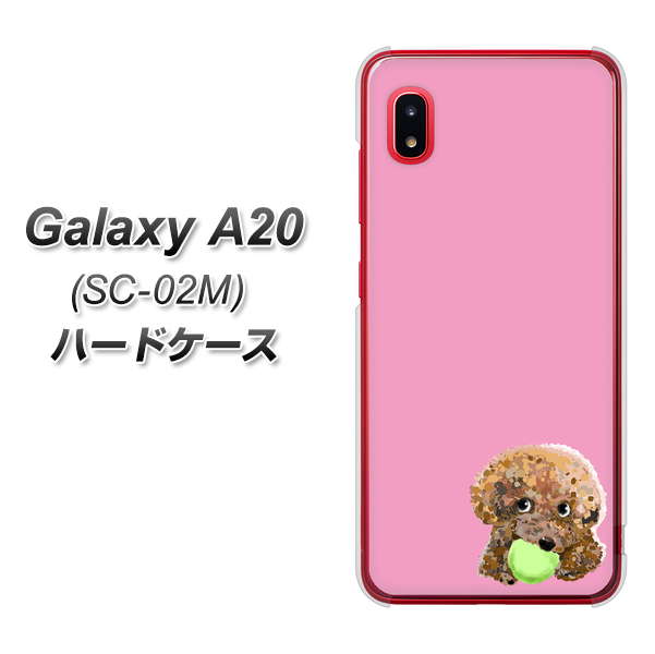 docomo ギャラクシー A20 SC-02M 高画質仕上げ 背面印刷 ハードケース【YJ053 トイプードル&ボール(ピンク)】
