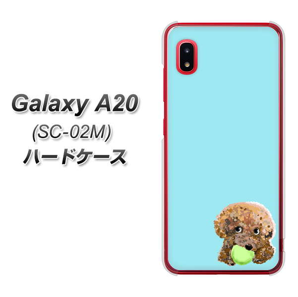 docomo ギャラクシー A20 SC-02M 高画質仕上げ 背面印刷 ハードケース【YJ054 トイプードル&ボール(ブルー)】