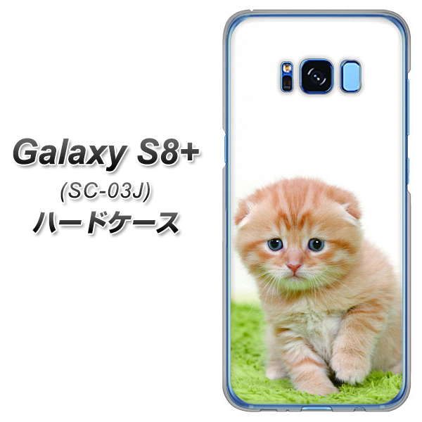 docomo ギャラクシー S8 プラス SC-03J 高画質仕上げ 背面印刷 ハードケース【VA802 ネコこっそり】