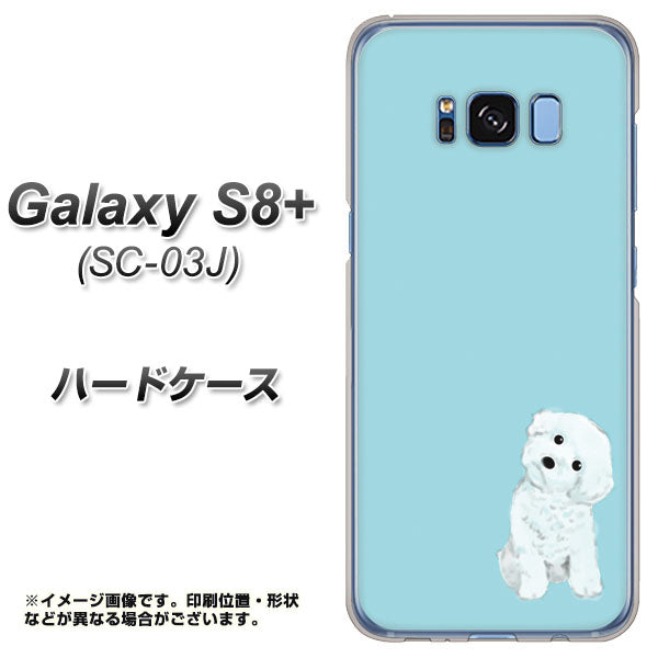 docomo ギャラクシー S8 プラス SC-03J 高画質仕上げ 背面印刷 ハードケース【YJ070 トイプードルホワイト(ブルー)】