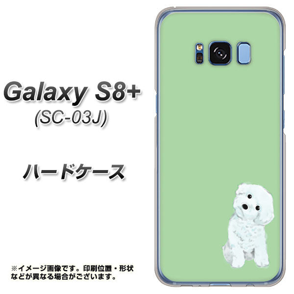 docomo ギャラクシー S8 プラス SC-03J 高画質仕上げ 背面印刷 ハードケース【YJ071 トイプードルホワイト(グリーン)】