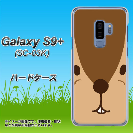 docomo ギャラクシー S9+ SC-03K 高画質仕上げ 背面印刷 ハードケース【349 りす】
