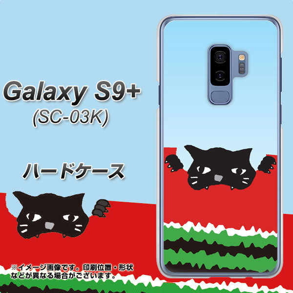 docomo ギャラクシー S9+ SC-03K 高画質仕上げ 背面印刷 ハードケース【IA815 すいかをかじるネコ(大)】