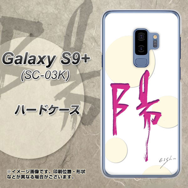 docomo ギャラクシー S9+ SC-03K 高画質仕上げ 背面印刷 ハードケース【OE833 陽】