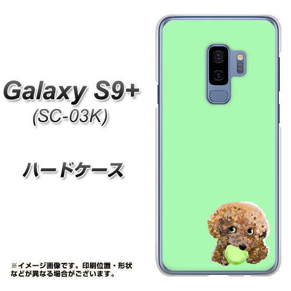 docomo ギャラクシー S9+ SC-03K 高画質仕上げ 背面印刷 ハードケース【YJ055 トイプードル&ボール(グリーン)】