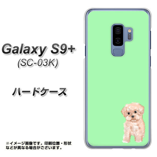docomo ギャラクシー S9+ SC-03K 高画質仕上げ 背面印刷 ハードケース【YJ063 トイプードルアプリコット(グリーン)】