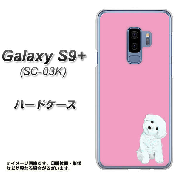 docomo ギャラクシー S9+ SC-03K 高画質仕上げ 背面印刷 ハードケース【YJ069 トイプードルホワイト(ピンク)】