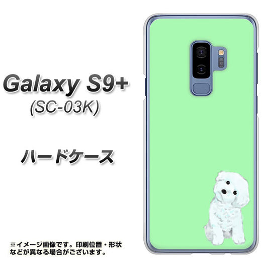 docomo ギャラクシー S9+ SC-03K 高画質仕上げ 背面印刷 ハードケース【YJ071 トイプードルホワイト(グリーン)】