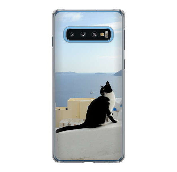 Galaxy S10 SC-03L docomo 高画質仕上げ 背面印刷 ハードケース 【VA805 ネコと地中海】