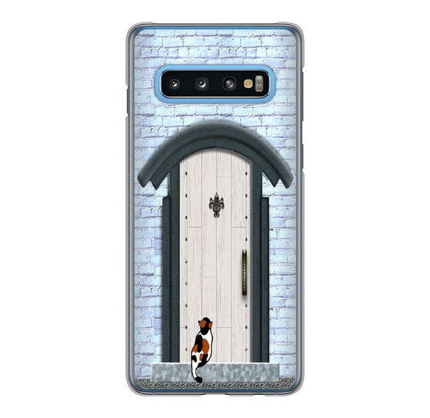 Galaxy S10 SC-03L docomo 高画質仕上げ 背面印刷 ハードケース 猫とドア