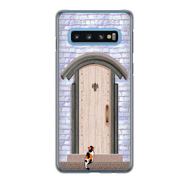 Galaxy S10 SC-03L docomo 高画質仕上げ 背面印刷 ハードケース 猫とドア