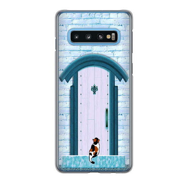 Galaxy S10 SC-03L docomo 高画質仕上げ 背面印刷 ハードケース 猫とドア