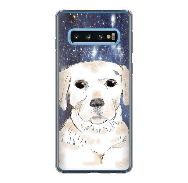 Galaxy S10 SC-03L docomo 高画質仕上げ 背面印刷 ハードケース ラブラドールレトリバー