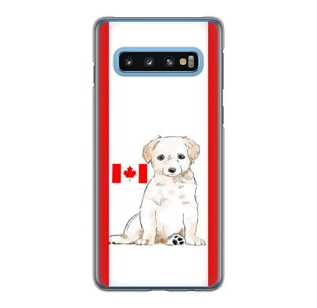 Galaxy S10 SC-03L docomo 高画質仕上げ 背面印刷 ハードケース ラブラドールレトリバー