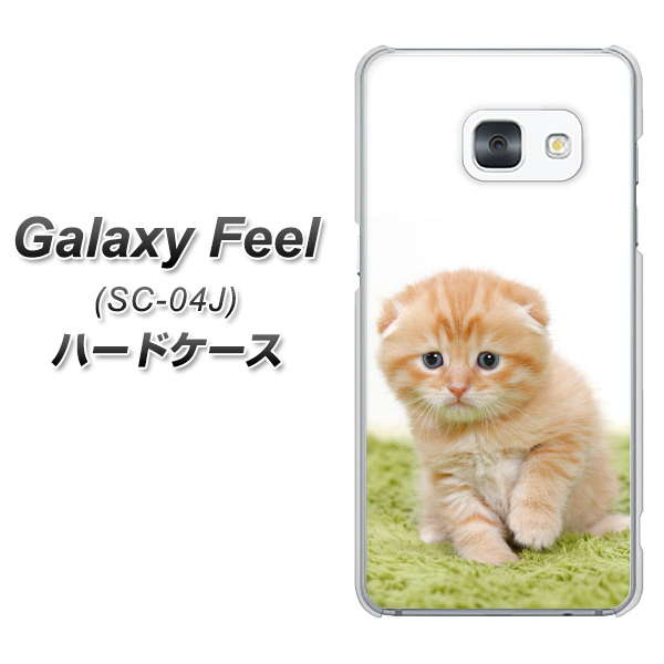 docomo ギャラクシー フィール SC-04J 高画質仕上げ 背面印刷 ハードケース【VA802 ネコこっそり】