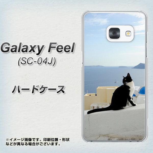 docomo ギャラクシー フィール SC-04J 高画質仕上げ 背面印刷 ハードケース【VA805 ネコと地中海】